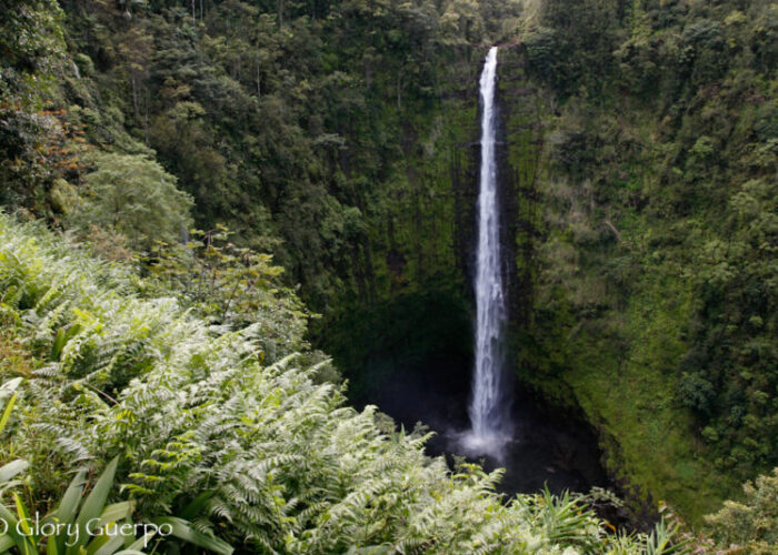 Akaka Falls