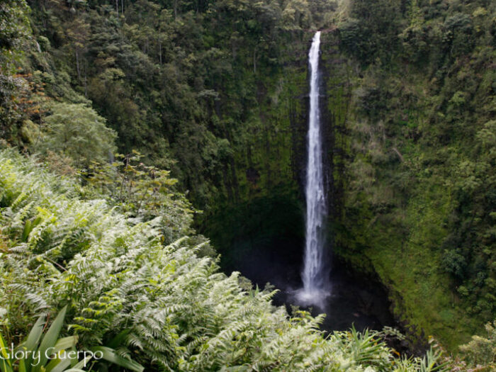 Akaka Falls