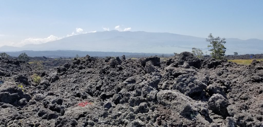 Lava fields