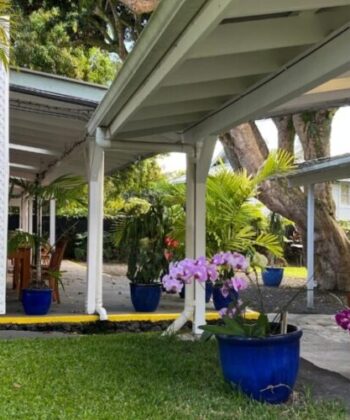 Arnott's Lodge tropical garden