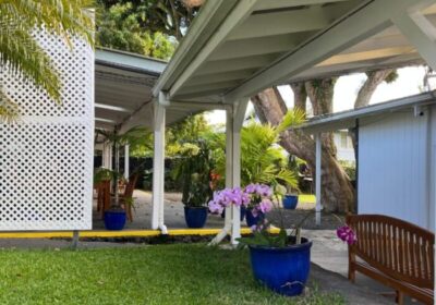 Arnott's Lodge tropical garden