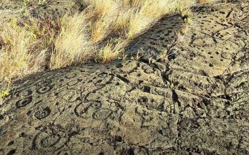 Pu’u Loa Petroglyphs