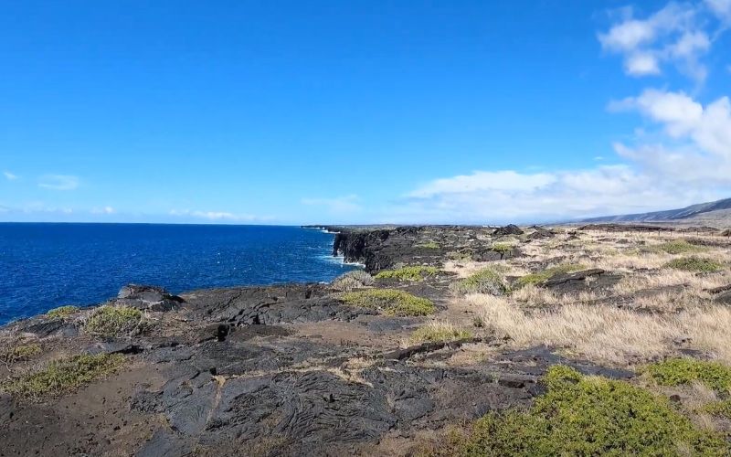 Pu’u Loa Park on the Big Island of Hawaii