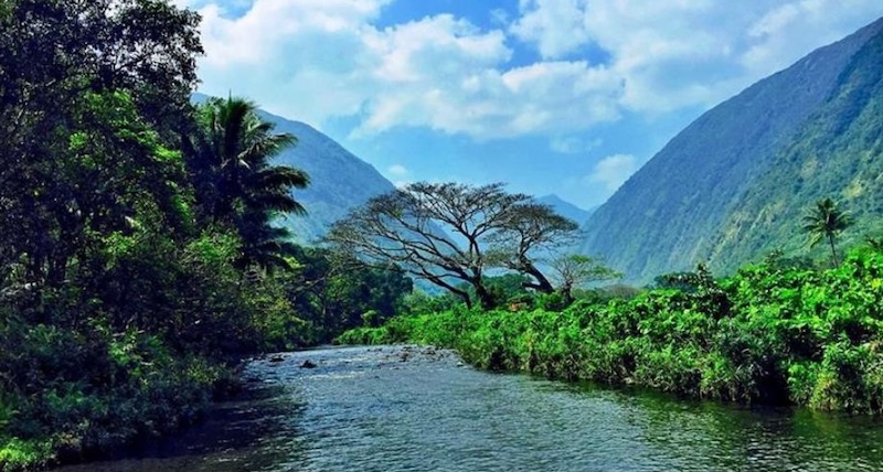 Waimanu Valley