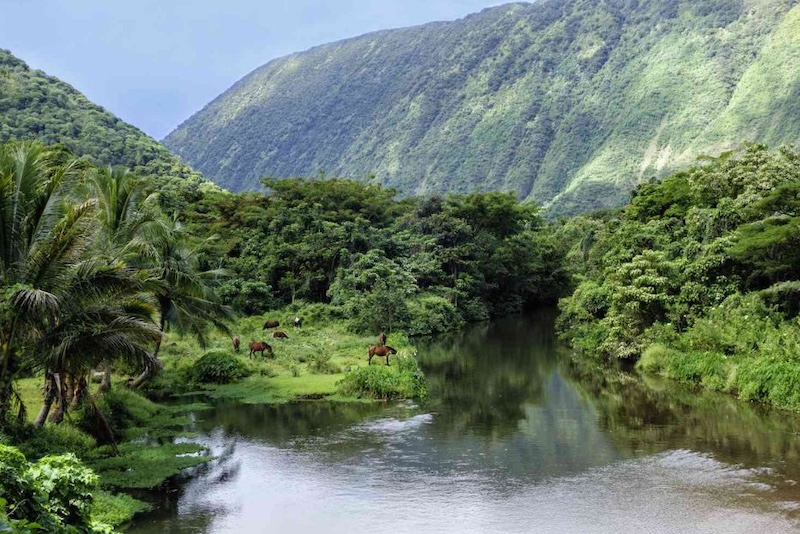 horseback riding in the valley