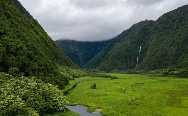 Waimanu Valley