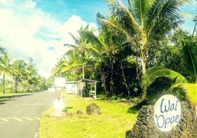 Kapoho