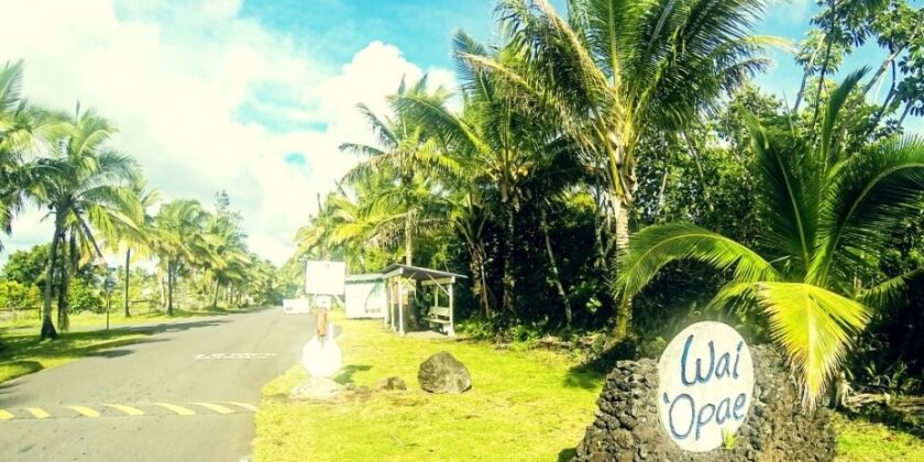 Kapoho Tide Pools: In Memory of the Magnificent Waiʻōpae